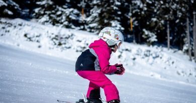 À la montagne, en Savoie, les centres de vacances demandent de l'aide 2