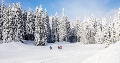 En Isère, l'engouement pour les sports nordiques ne faiblit pas 4