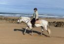 Partez en voyage avec Sport et Tourisme pour découvrir Essaouira et sa région, à cheval et sur l’eau !