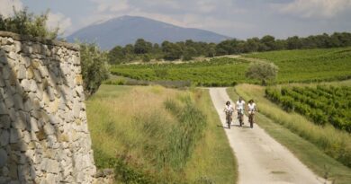 Découvrir la Provence à vélo avec Ride and More Travel 5
