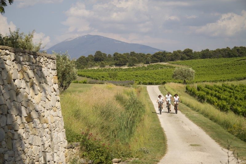 Découvrir la Provence à vélo avec Ride and More Travel 1
