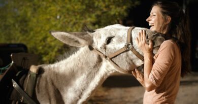 Randonner avec un âne, une expérience pour lâcher prise 3