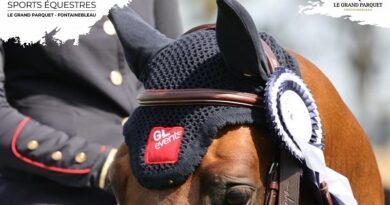 À Fontainebleau, la fête du Printemps des Sports Equestres s'annonce "exceptionnelle" 7