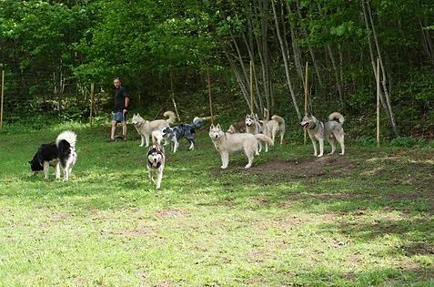 Dix bonnes raisons pour se rendre dans les Alpes du Sud cet été 3