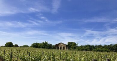 Et si vous pédaliez dans les vignobles de Saint-Emilion ? 3