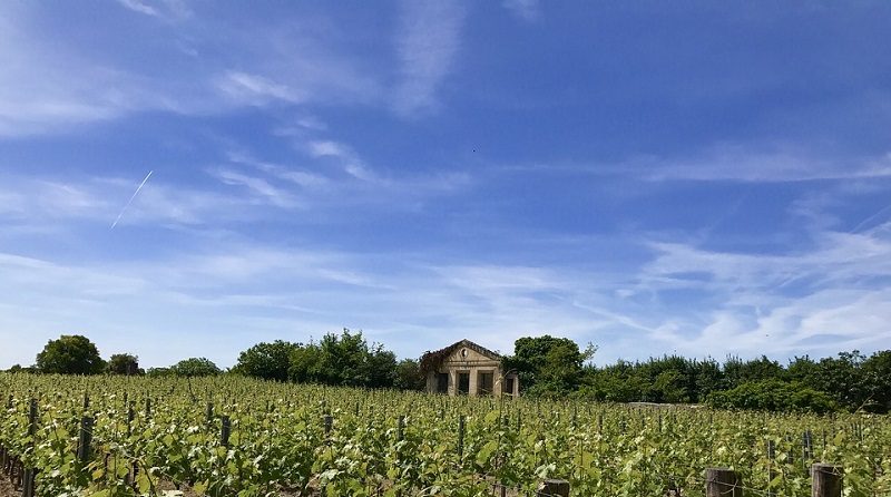 Saint-Emilion