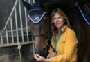 Avec la Route Eiffel, le cheval en majesté dans les rues de Paris