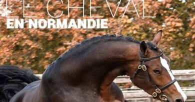 Tout pour réussir son séjour autour du cheval en Normandie 2