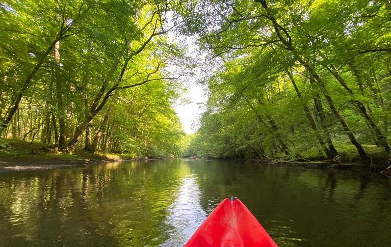 Concentré de Bourgogne, l'Yonne se dévoile à travers ses activités outdoor 7