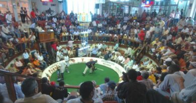 Et grogne la gallera ! Combats de coq : un "sport" dominicain 6