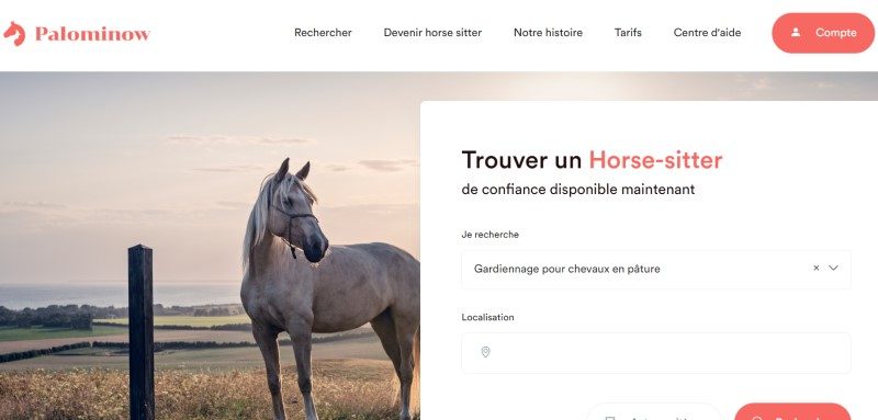 Palominow, la plate-forme de horse sitting qui prend soin de votre cheval 2