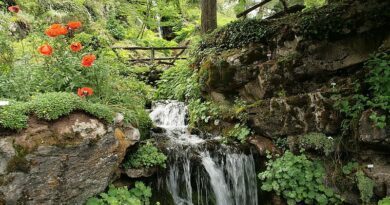 Le Tour de France de la biodiversité, dix ans de voyage à travers le patrimoine naturel français 3