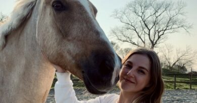 Palominow, la plate-forme de horse sitting qui prend soin de votre cheval 9