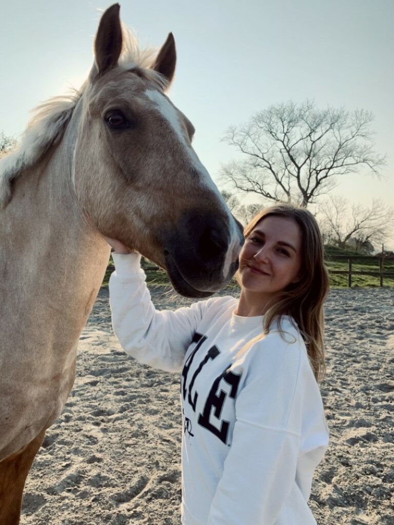 Palominow, la plate-forme de horse sitting qui prend soin de votre cheval 1