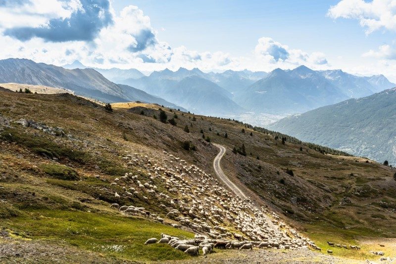 Tour de France, étape 11 : le col du Granon, haut c’est haut 2