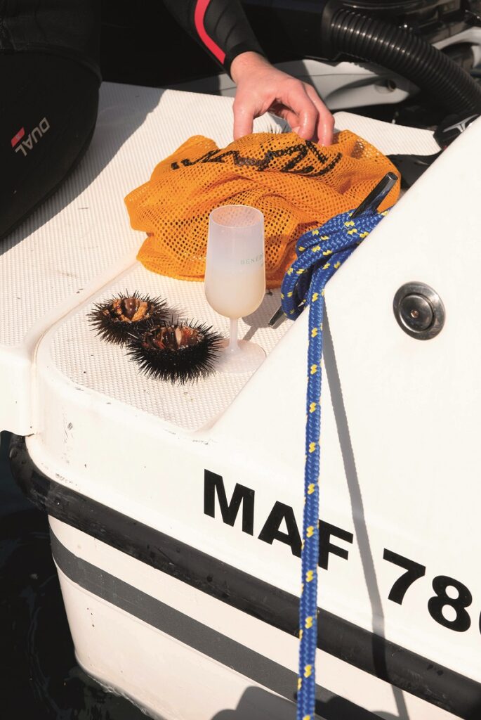 Trois excursions pour découvrir Marseille depuis la mer 3