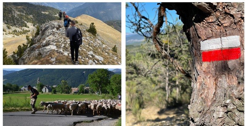 GR 69 La Routo, sur les chemins de la transhumance 2