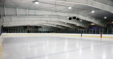 Crise de l’énergie : Les « patinoires » et le « hockey sur glace » se disputent 5