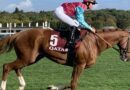 Qatar Prix de l’Arc de Triomphe, « Allez Sou, va la chercher pour Lolo »