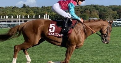 Qatar Prix de l'Arc de Triomphe, « Allez Sou, va la chercher pour Lolo » 7