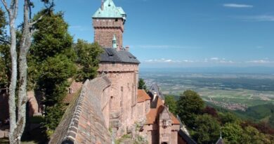 Trail : le circuit UTMB fera date en Alsace à partir de 2023 4