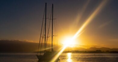 Route du Rhum : les Îles de Guadeloupe posent leurs bagages à Saint-Malo 9