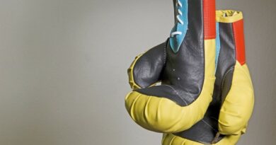 La boxe, un sport qui fait du bien à la tête 5