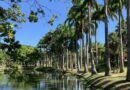 Les Caraïbes, parenthèse ensoleillée au cœur de l’hiver français