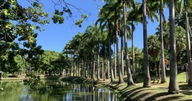 Les Caraïbes, parenthèse ensoleillée au cœur de l’hiver français 7