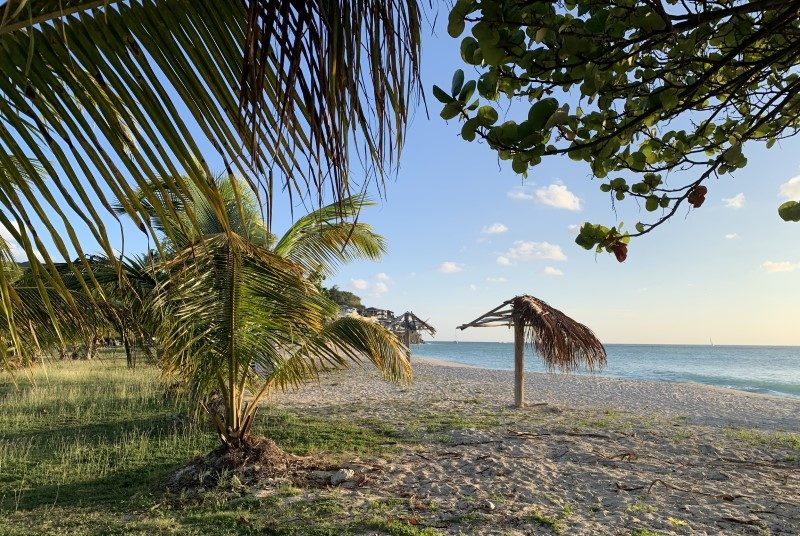 Les Caraïbes, parenthèse ensoleillée au cœur de l’hiver français 13