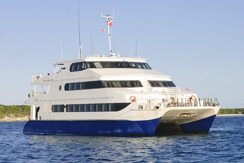 All Star Liveaboards, pionnier des croisières plongée, a toujours quelque chose à offrir 2