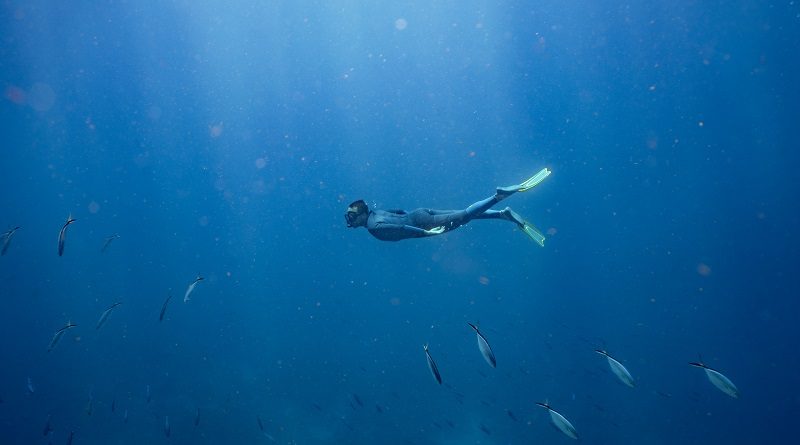 Trois excellentes raisons pour faire de la plongée en Guadeloupe 1