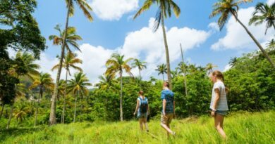 De nouveaux espaces inspirants sur le salon Destinations Nature 7