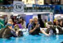Plus de 1 000 baptêmes réalisés sur le Salon de la Plongée Sous-Marine