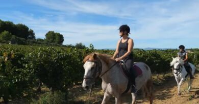 Découvrir les vignobles du Languedoc à cheval ou en buggy 4
