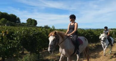 Découvrir les vignobles du Languedoc à cheval ou en buggy