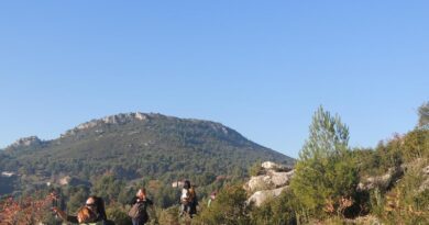 Retour du Festi Rando en pays d’Aubagne et de l'Étoile 2