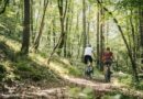 Le circuit Raid Bulles, une autre façon de découvrir la Champagne