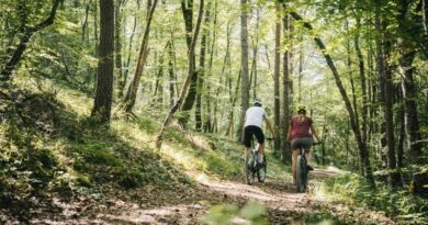 Le circuit Raid Bulles, une autre façon de découvrir la Champagne 6