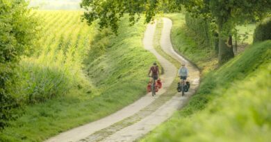 Véloroute iconique en Flandre (Belgique) : La Ceinture verte de Bruxelles 8