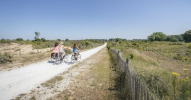 Véloroute iconique en Flandre (Belgique) : La Route du Littoral 6