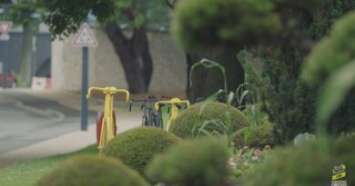 Label « Ville à Vélo du Tour de France » : Mauriac (Cantal) et Collonges-la-Rouge (Corrèze) à l'honneur 3