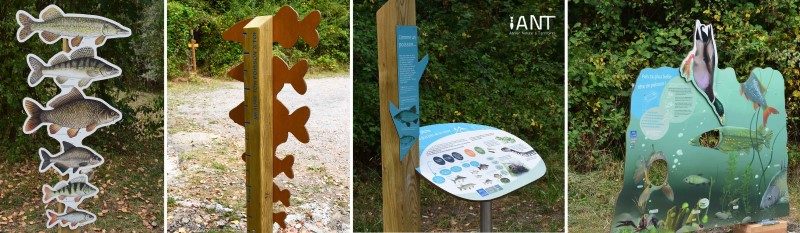 L’Atelier Nature et Territoires élabore des promenades et randonnées pédagogiques 5