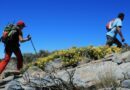 Trails, courses, nage en eau libre… Aux Canaries, l’été s’annonce sportif
