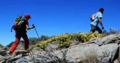 Trails, courses, nage en eau libre… Aux Canaries, l’été s’annonce sportif 1