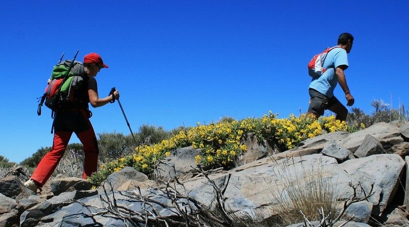 Trails, courses, nage en eau libre… Aux Canaries, l’été s’annonce sportif 1