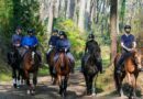 Quoi de mieux que le cheval pour profiter du printemps