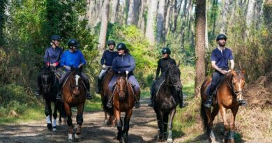 Quoi de mieux que le cheval pour profiter du printemps 2