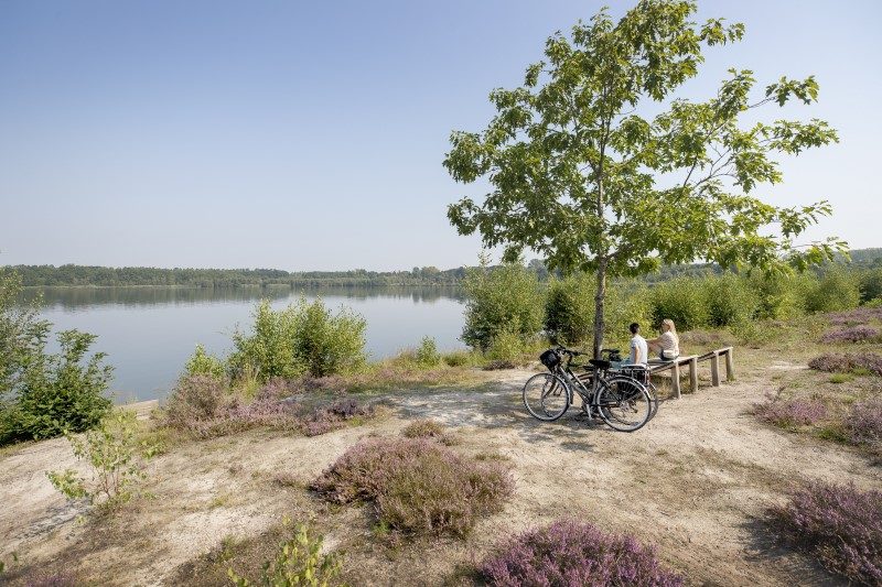 Véloroute iconique en Flandre (Belgique) : La Route des Campines 3