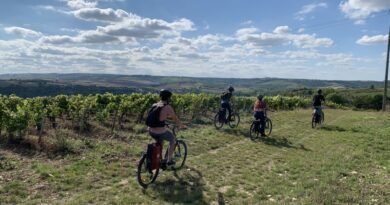 Terre de Jeux, l'Yonne profite de sa reconnaissance olympique pour valoriser son territoire 2